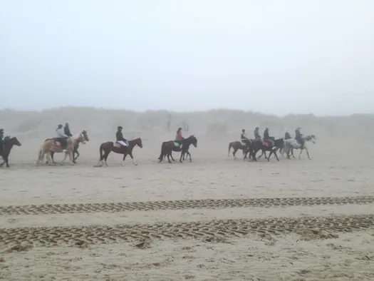 Oostduinkerke (België)